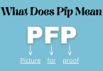 What Does Pfp Mean